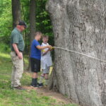 Ken measures the tree