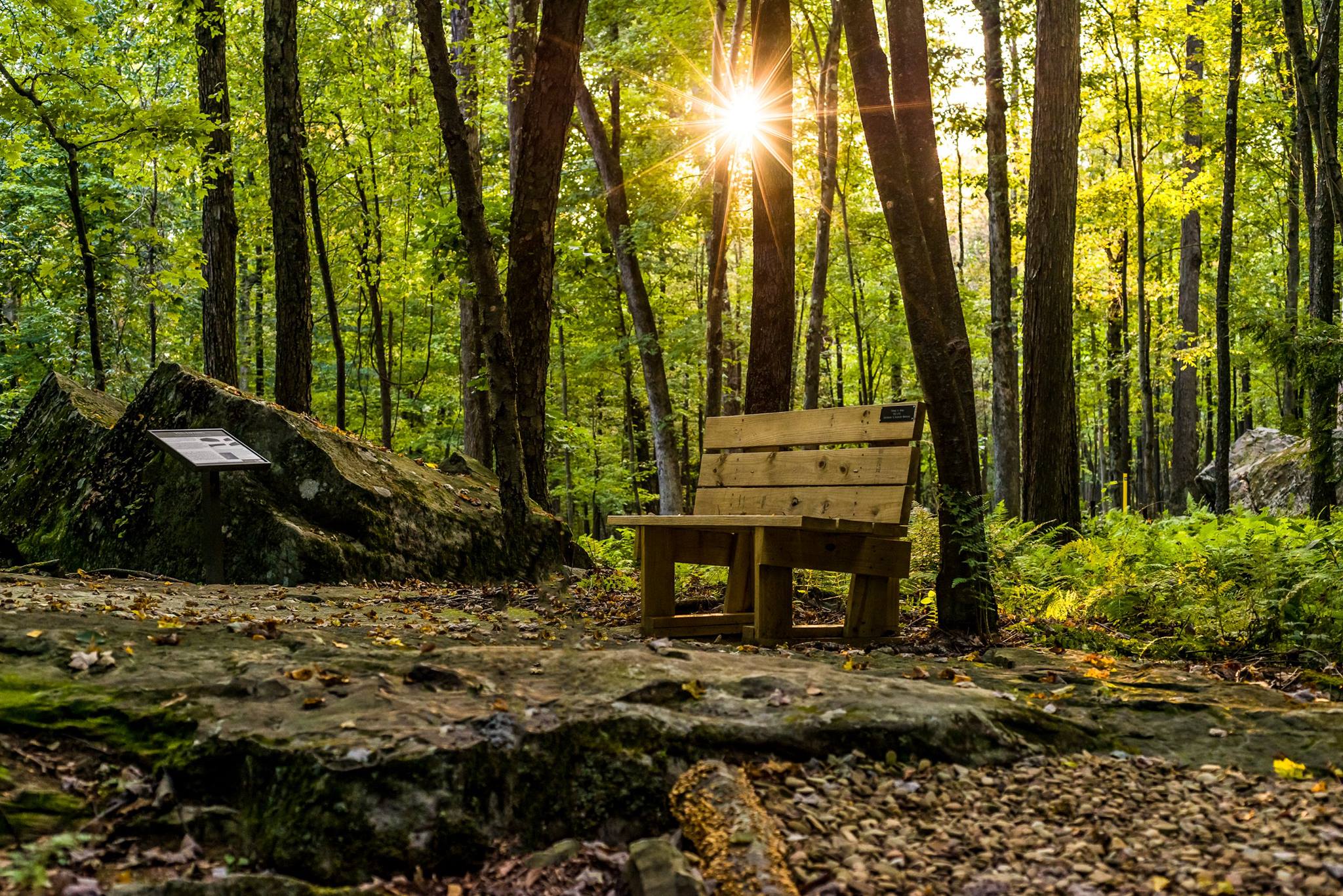 Scripture Rocks bench - Chris Lasher