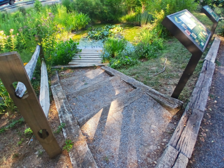 Steps leading to Dock