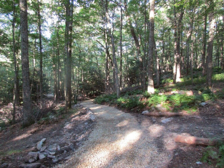 Trail